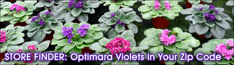 Buy Optimara at Retail Buy Optimara at Retail